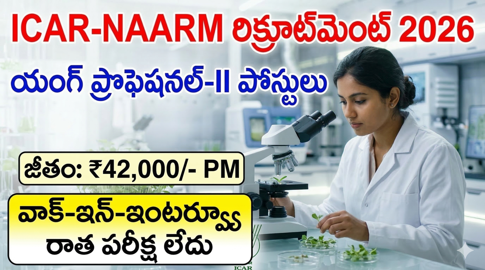 ICAR NAARM Young Professional-II Recruitment 2026 Notification Telugu